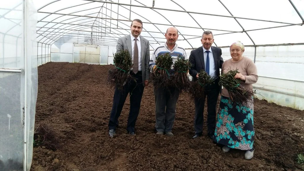 Üretimini Artırman İsteyen Çiftçiye Büyükşehirden Destek