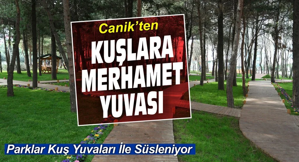Canik'ten kuşlara merhamet yuvası