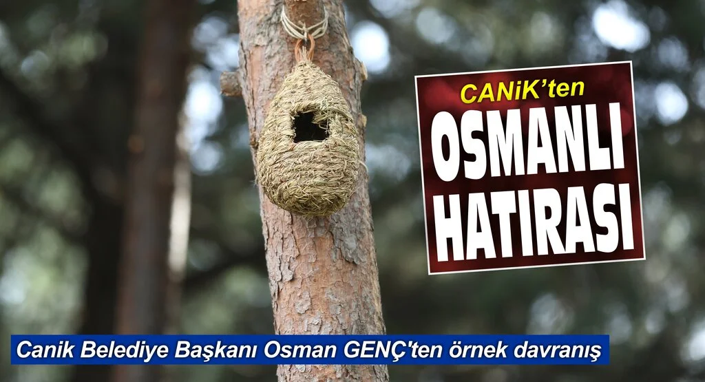 Canik'ten Osmanlı Hatırası