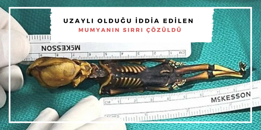 Mumyanın Sırrı Çözüldü
