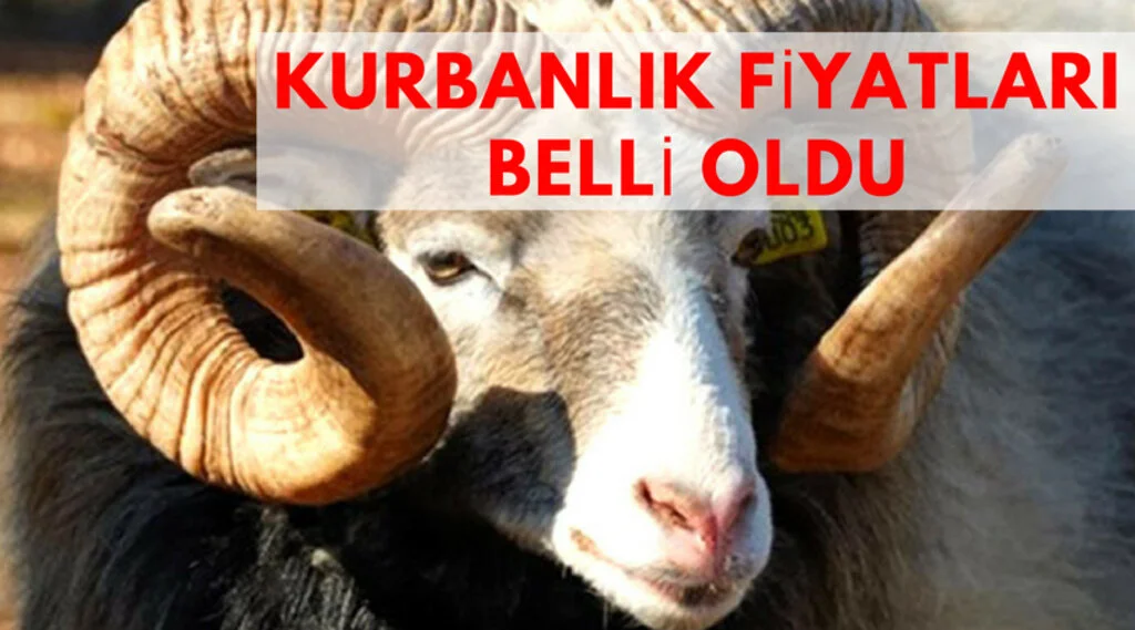 Kurbanlık fiyatları belli oldu