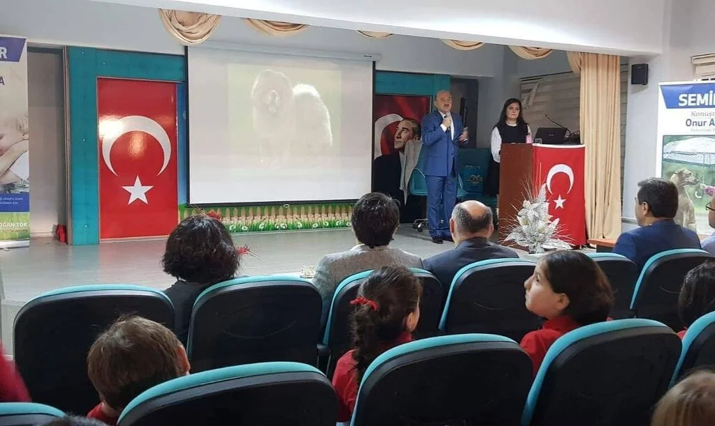 İlkadım’da Sokak Hayvanlarına Sahip Çıkılıyor