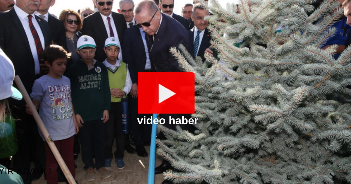 Cumhurbaşkanı Erdoğan Çocuklarla Fidan Dikti