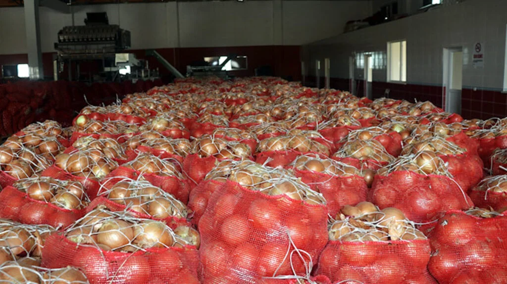 Stokçular Yakalandı! 200 Bin Ton Soğan Stoklamışlar