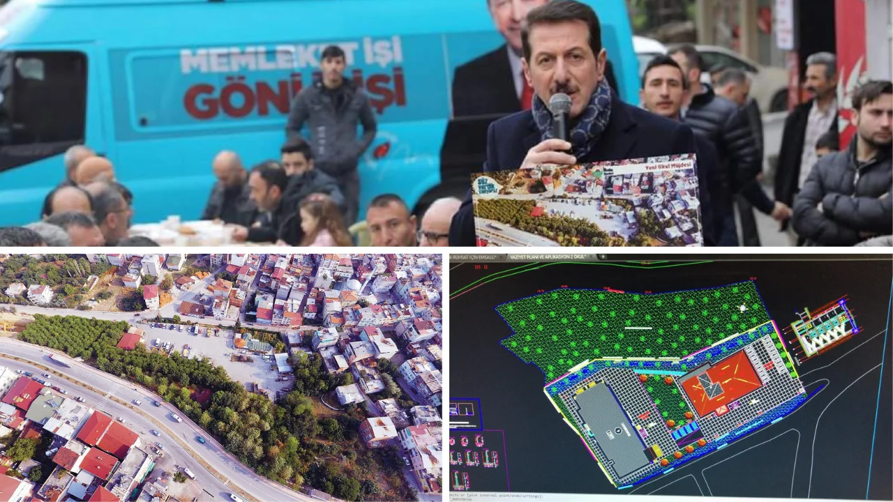 Tok, “Ağaçlar, korunarak okul yeri planlanıyor”