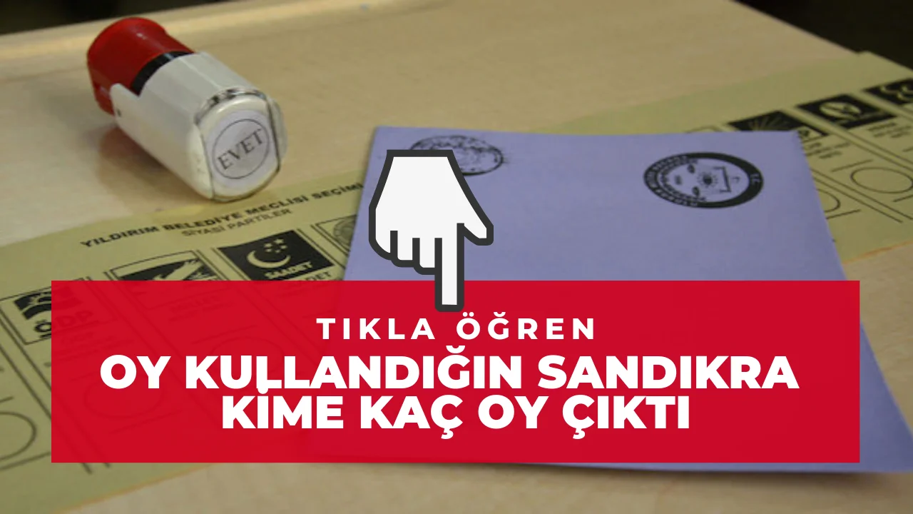 Oy Kullandığın Sandıktan Kime Ne Kadar Oy Çıktı?