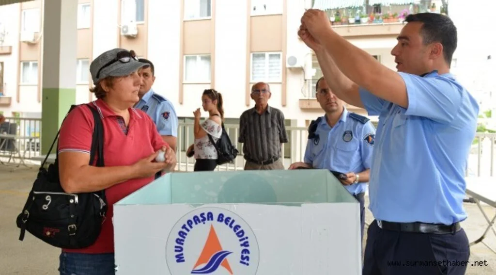 Antika ve ikinci el pazarı için kuralar çekildi