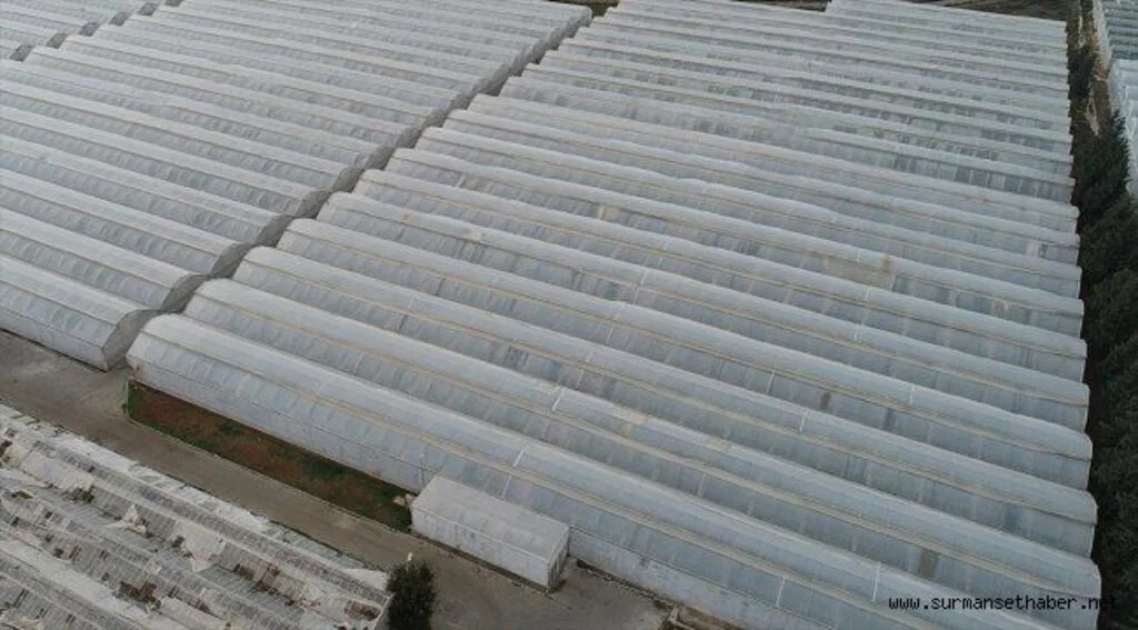 'Tarıma yönelik kredi paketiyle gıda enflasyonu dengelenir'