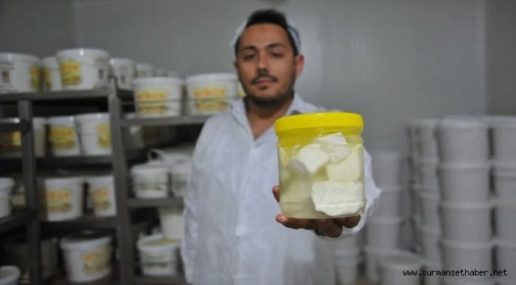 'Antep peyniri' sınırları aşıyor