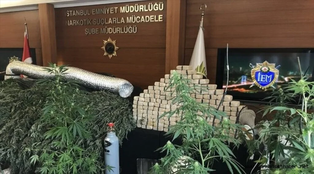 İstanbul polisi uyuşturucuyla mücadelede rekor kırıyor