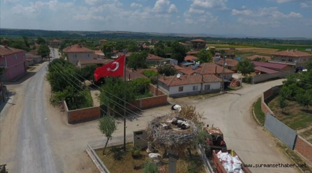 Leylek yavruları uçuşa hazırlanıyor