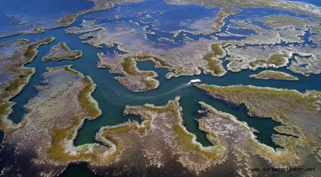 Türkiye'nin yüzde 17'si korunan alan olacak