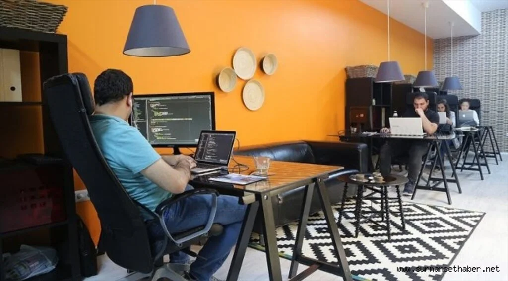 Web sitesi ve alan adları da gayrimenkul gibi değerleniyor