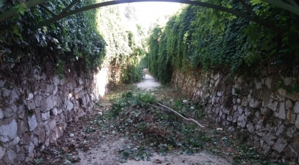 Büyükşehir 17 kilometre dere temizliği yaptı