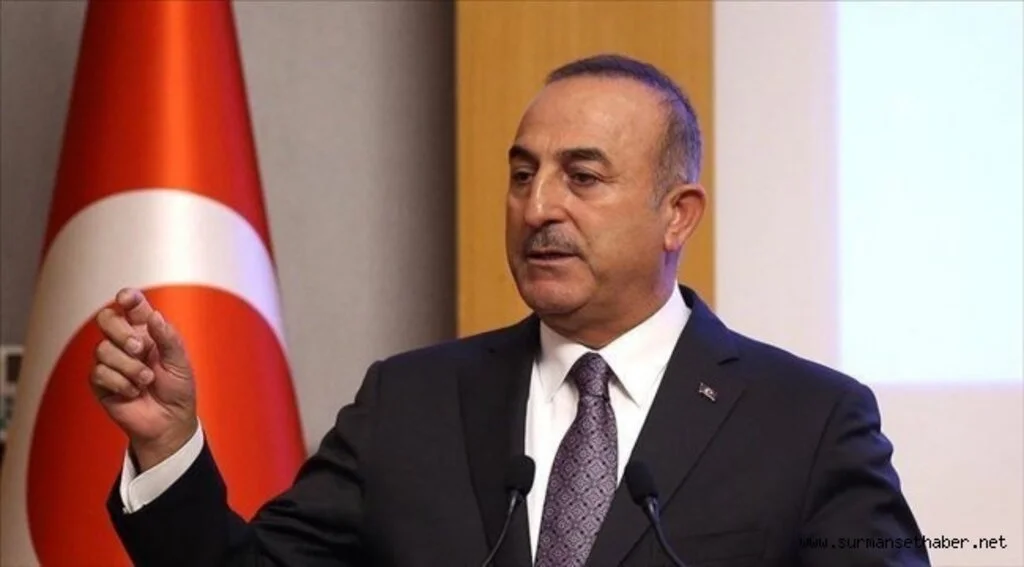 Çavuşoğlu: Türkiye sadece güvenli bölgede kalan DEAŞ'lılardan sorumlu