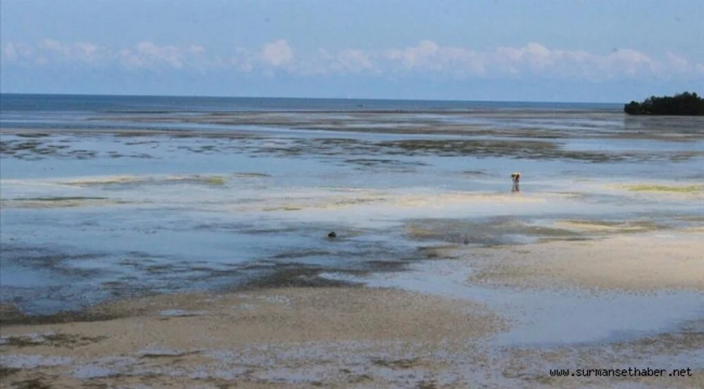 Ekmeğini gelgitten kazananların adası: Zanzibar