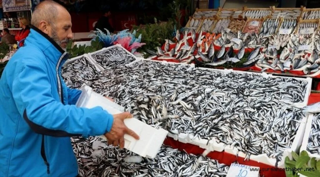Hamsinin fiyatı 3 kat ucuzladı