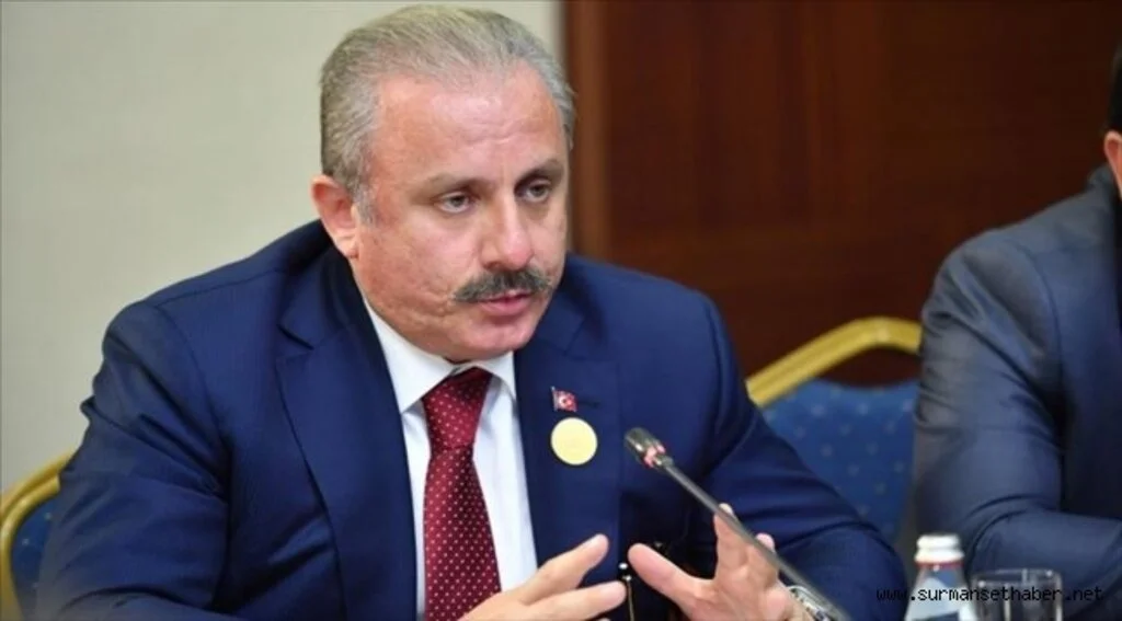 TBMM Başkanı Şentop: Avrupa Konseyinin çifte standartlı uygulamaları var