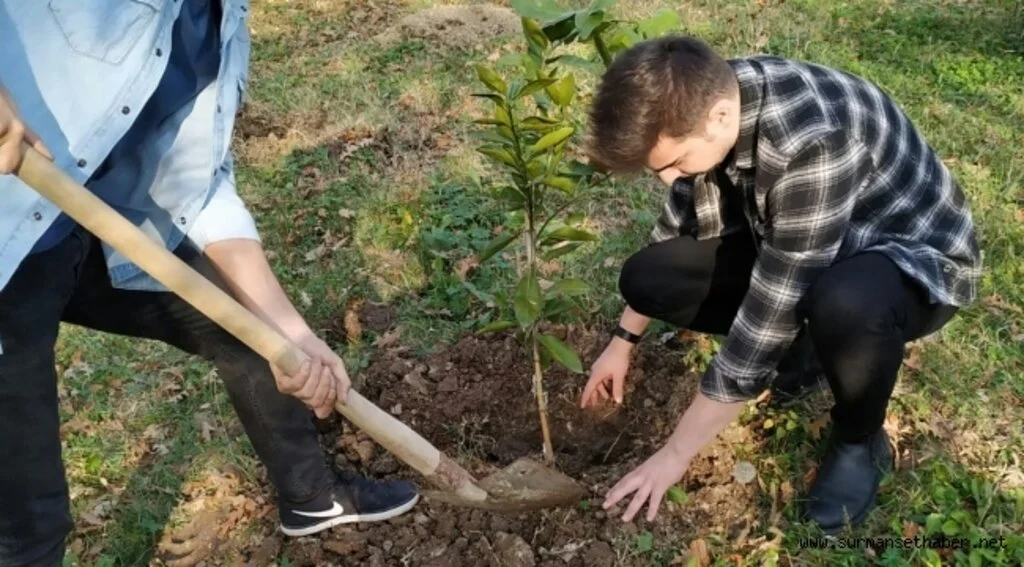 Benim de Bir Ağacım Var