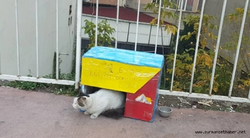 Mahallenin Çocuklarından Örnek Davranış