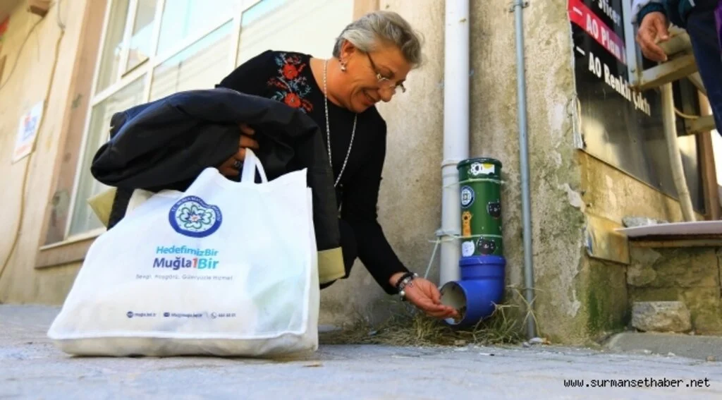 Sokak hayvanları için örnek davranış