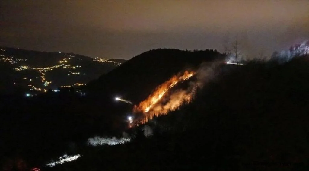 Trabzon'da 100 dönümlük alanda yangın çıktı