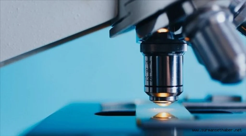 Kanserle mücadelede metastazdan sorumlu proteinler saptandı