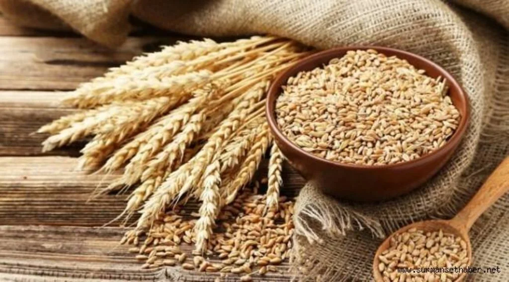 Bakanlıktan "Buğday ithalatı" iddialarına açıklama geldi