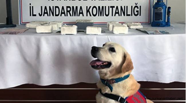 Narkotik Köpeği  Bingo, Yüklü Miktarda Uyuşturucu Buldu.