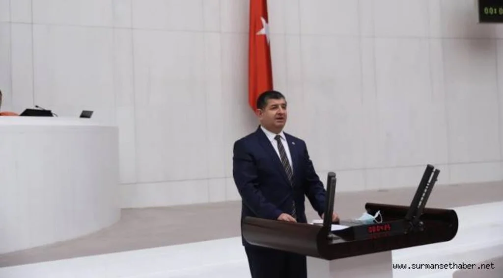 “TARİHİ ESERLERİMİZE VERİLEN ZARARA NE ZAMAN DUR DENECEK?”