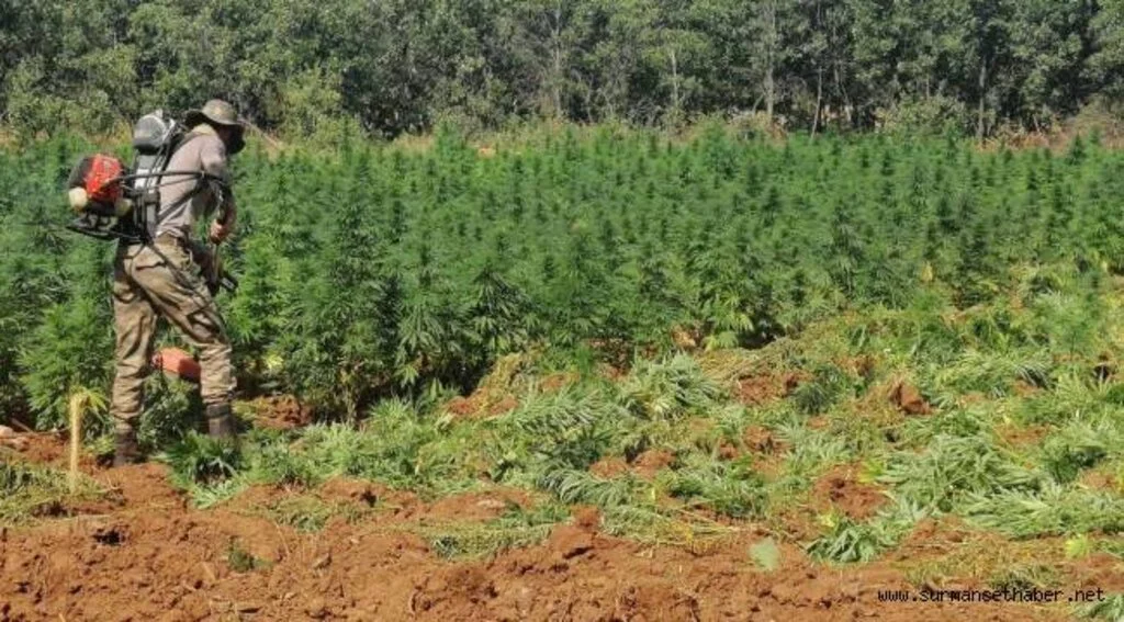 Terör Örgütü'nün Finans Kaynağı Uyuşturucuya Büyük Darbe