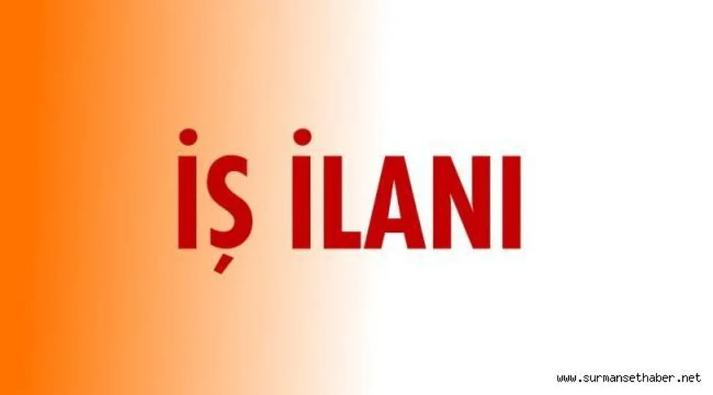 Sözleşmeli personel (Mütercim-Tercüman) alım ilanı I- GENEL AÇIKLAMA