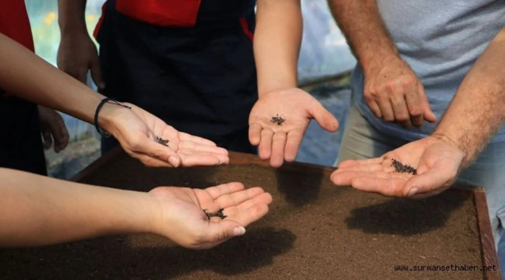 Atakum Belediyesi AtaTohum  ile Karadeniz’e öncülük ediyor