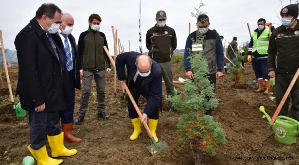OMÜ’de Fidanlar Sağlık Çalışanlarına Vefa için Dikildi
