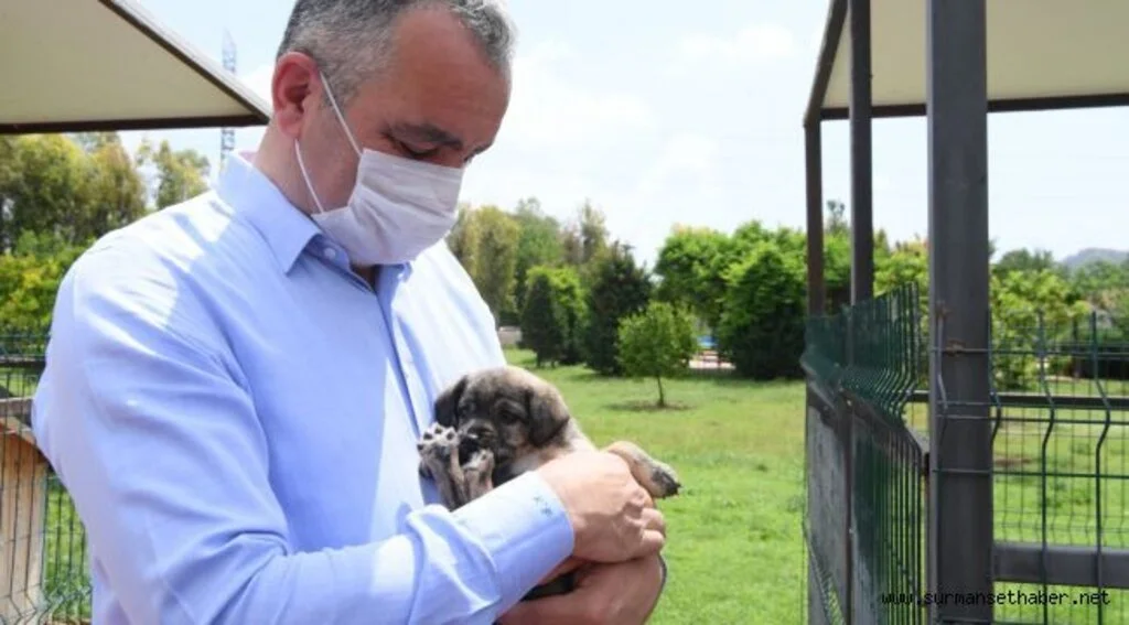 Başkan Esen:  “Minik dostlarımızı yalnız bırakmadık”
