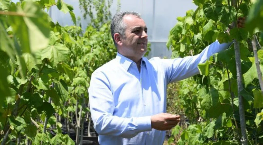 Konyaaltı Belediyesi, 2020’de 45 bin metrekare yeşil alan açtı