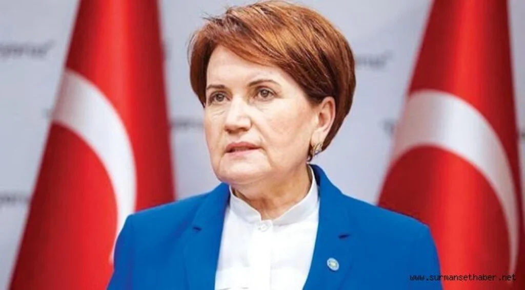 Meral Akşener; ''Önce Sayın Erdoğan Olsun Aşıyı''