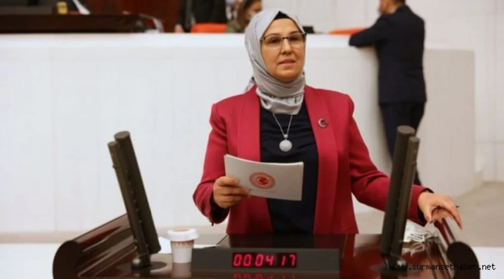 Radiye Sezer Katırcıoğlu ; ''Yerli Ve Milli Güçlü Türkiye Bütçesi''