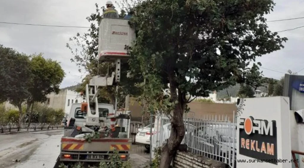 TEHLİKE ARZ EDEN DALLARA MÜDAHALE