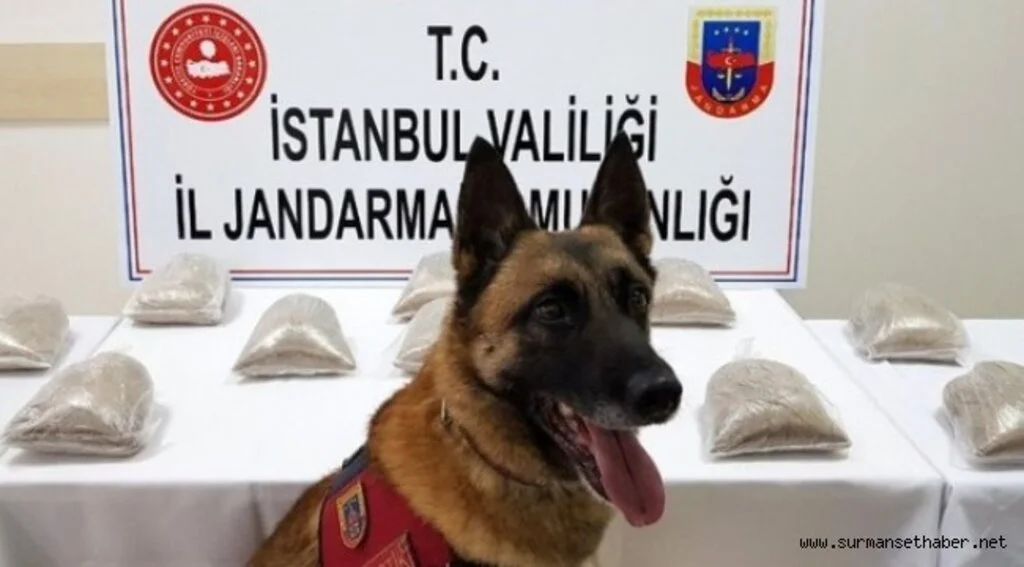 Atak, Zehir Tacirlerine Acımadı 14 Kilogram Uyuşturucu Madde Ele Geçirildi
