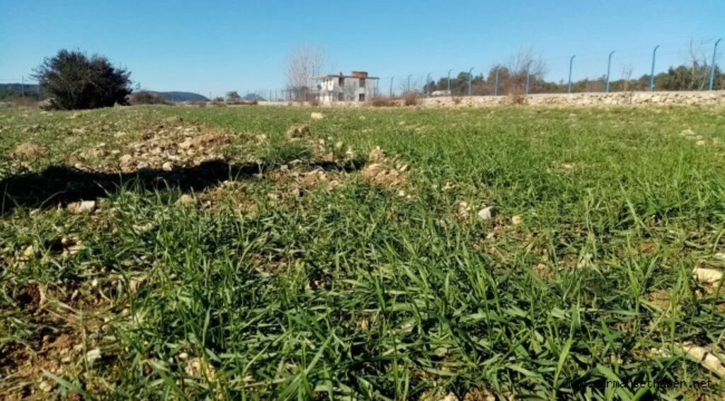Büyükşehir’in yerelden kalkınma hamlesi sonuç veriyor 