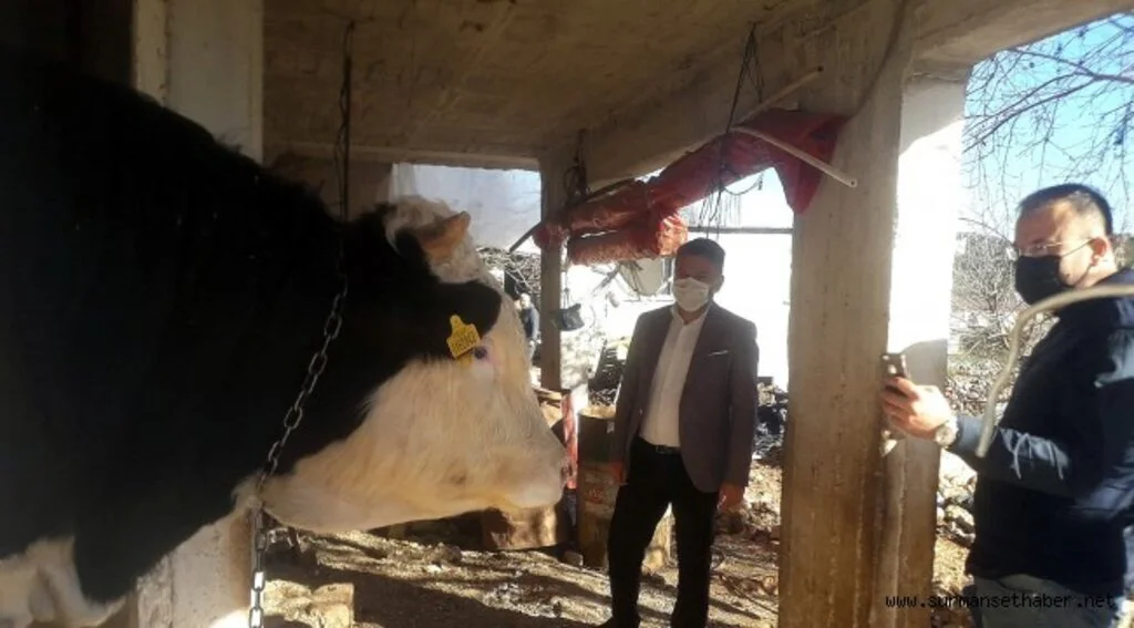 Demre’deki besicilerin  ihtiyaçları belirlendi 