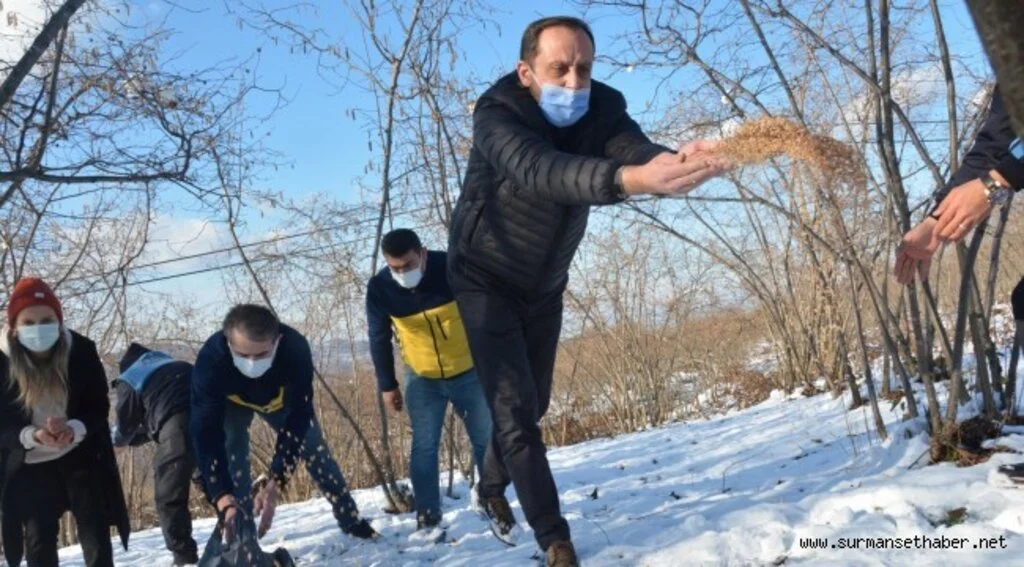 FATSA BELEDİYESİ DOĞAYA, KUŞLAR İÇİN YEM, SOKAK HAYVANLARI İÇİN MAMA BIRAKTI