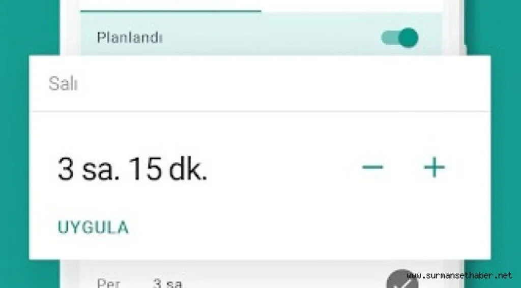 Google Family Link ne işe yarar ? Ebeveynlere ne gibi kullanım hakları sağlar ?