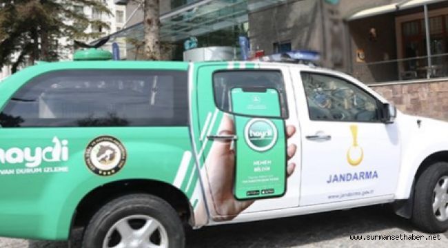 Jandarma'nın Doğa Ve Hayvanları Koruma Timi Görev Başında