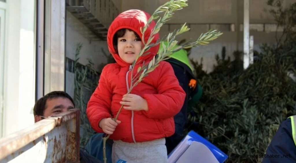 Aliağa Belediyesi’nin Zeytin Fidanı Dağıtımları Sürüyor.