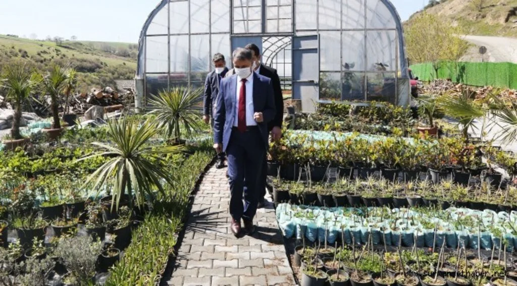Atakum Belediyesi 2020’de  kendi serasında 200 bin adet  mevsimlik çiçek ve çalı üretti