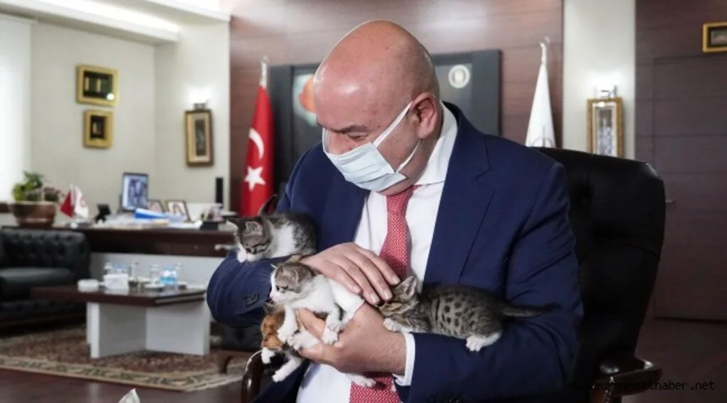 ​​BAŞKAN ALTINOK’UN SEVİMLİ MİSAFİRLERİ SAHİPLENDİRİLECEKLER