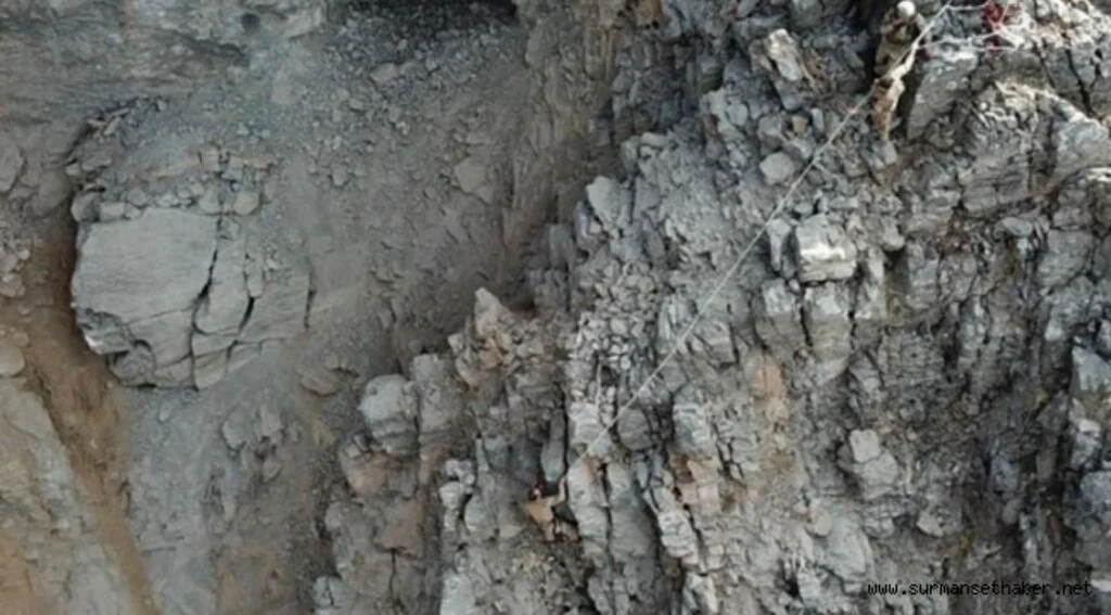 Teröristlerin Kullandığı 29 İN İmha Edildi