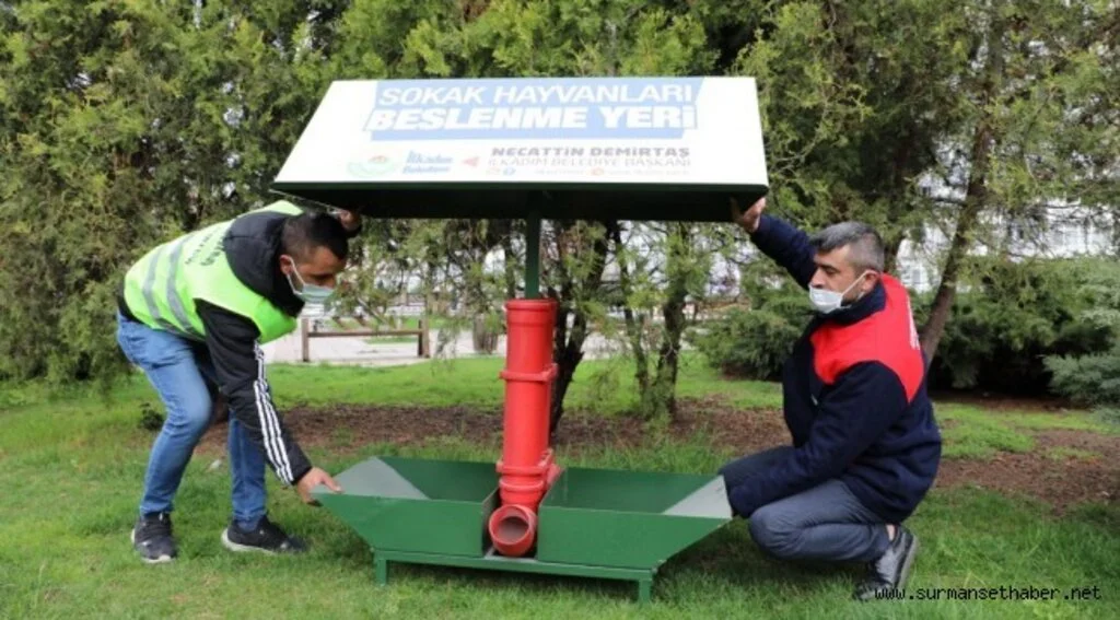 İLKADIM BELEDİYESİ; ”BİZ UNUTMADIK SİZDE UNUTMAYIN “ SLOGANIYLA SOKAK HAYVANLARINA YAŞAM DESTEĞİ OLUYOR